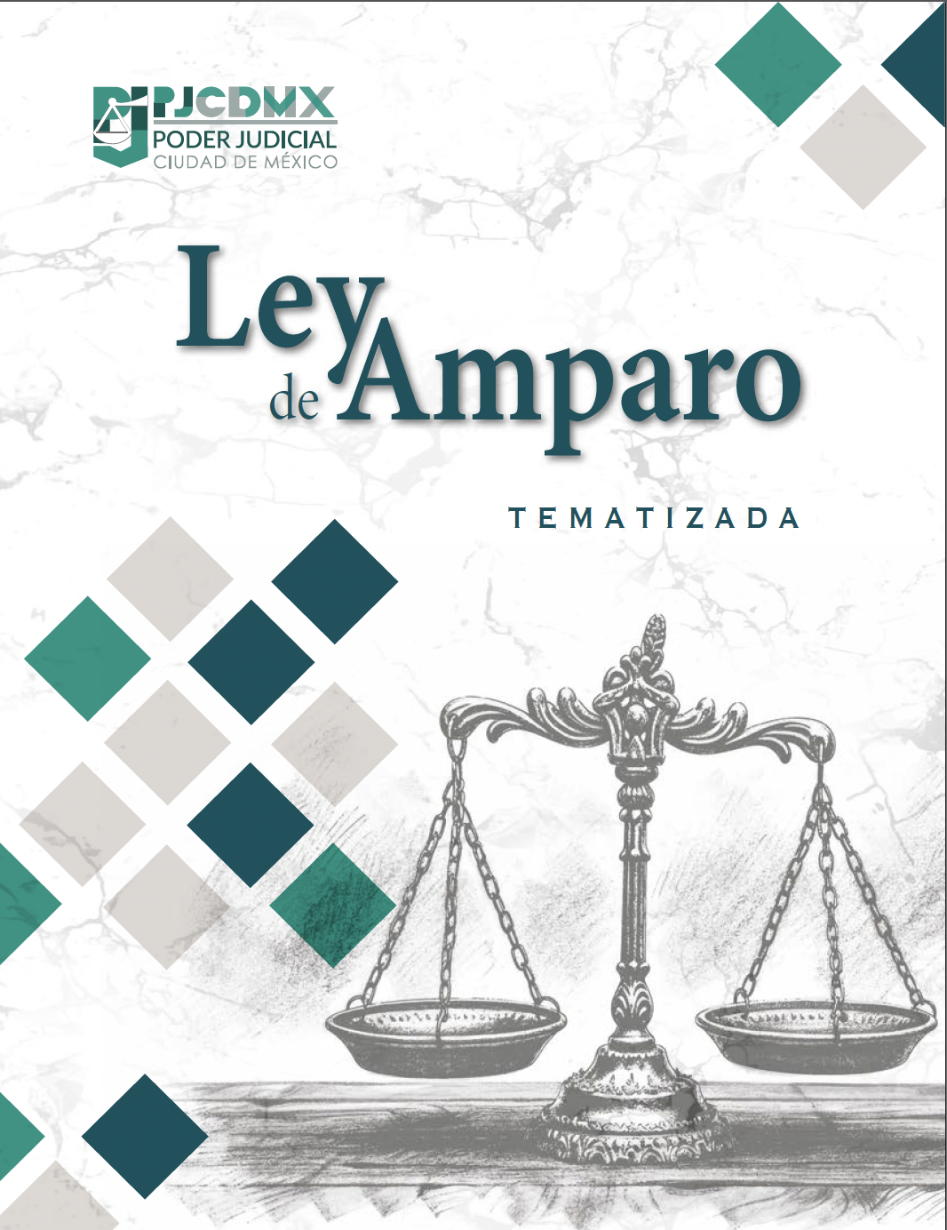 LEY AMPARO