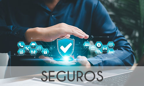 Seguros Seguros